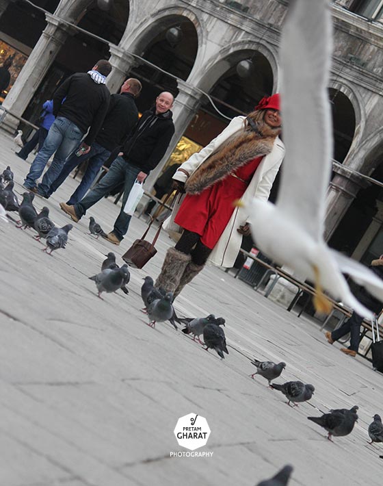 piazza-san-marco-birds-Life-Through-My-Lens-Dr-dentist-Pretam-Gharat-wimpole-harley-street-London